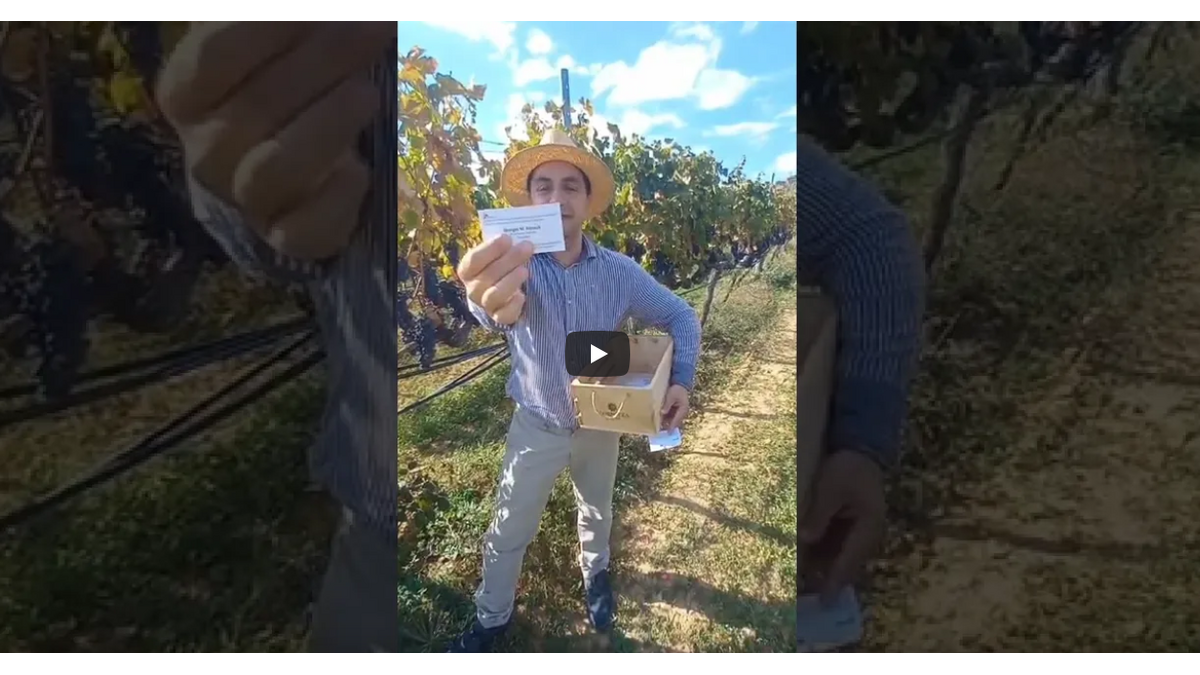 [Translate to Bulgare:] 